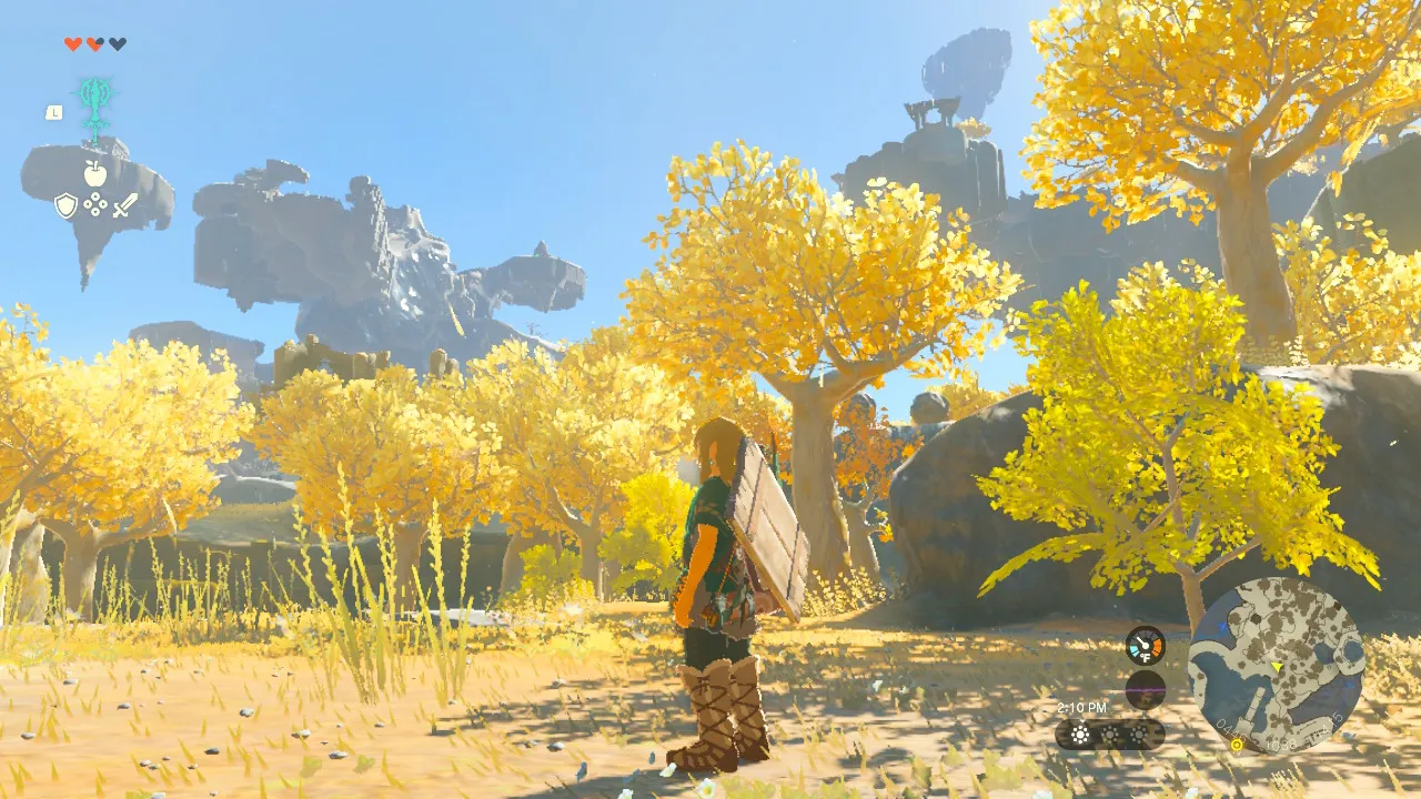 My screenshot of TOTK gameplay