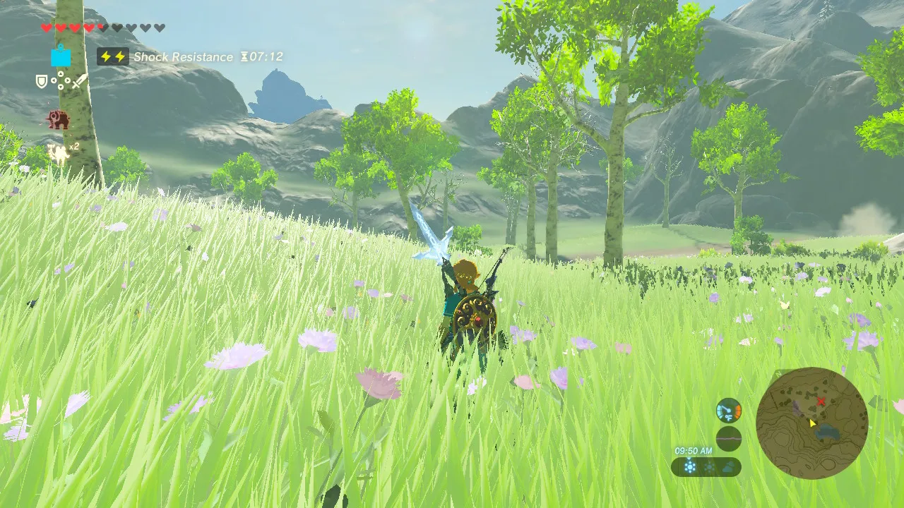 My screenshot of BOTW gameplay